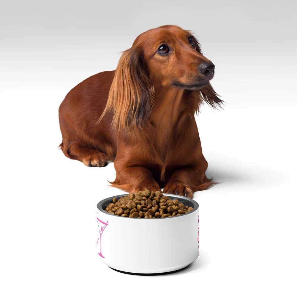 Sex and the City Me Likey Pet Bowl 4 Sex and the City Me Likey Pet Bowl